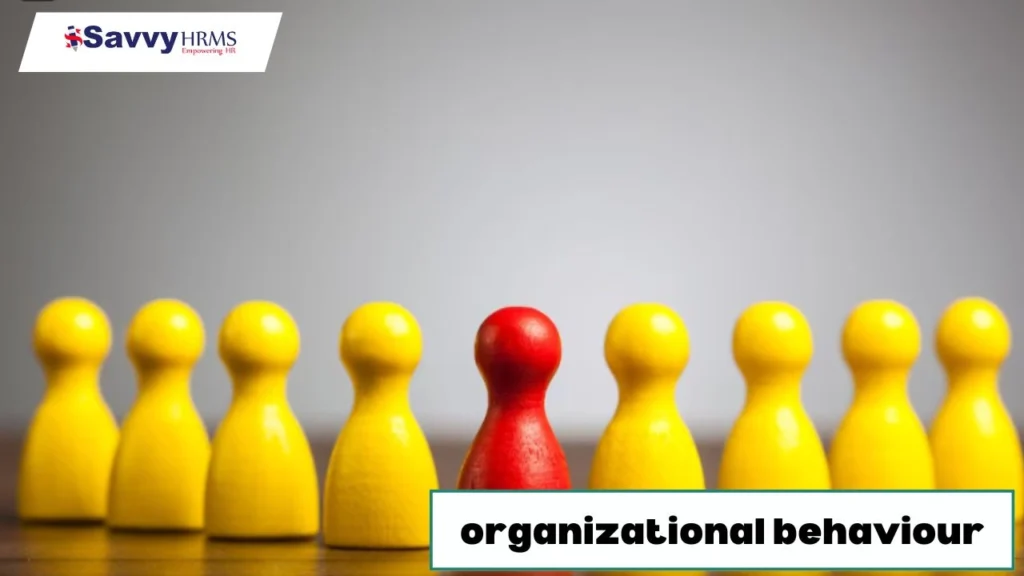 organizational-behaviour