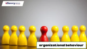 organizational-behaviour
