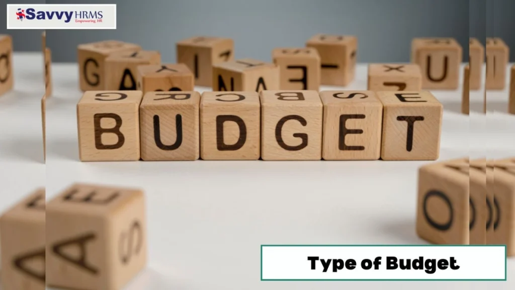 type-of-budget-jeeshan
